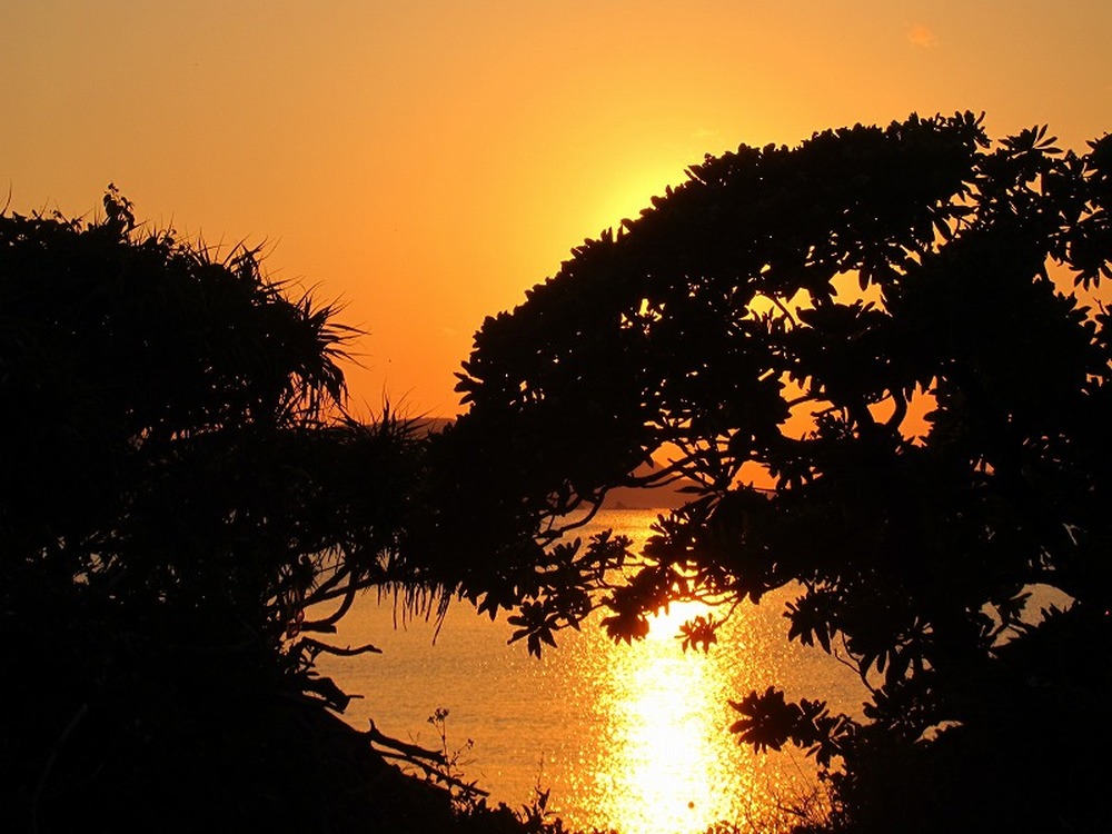 サンセットe-Bike（電動アシスト付き自転車）ツアー｜約1時間コース