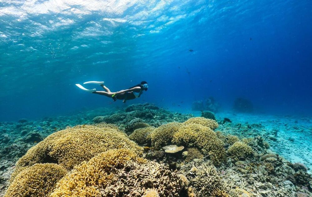 ウミガメに会えるSUP＆シュノーケリングツアー｜約2.5時間】座間味島