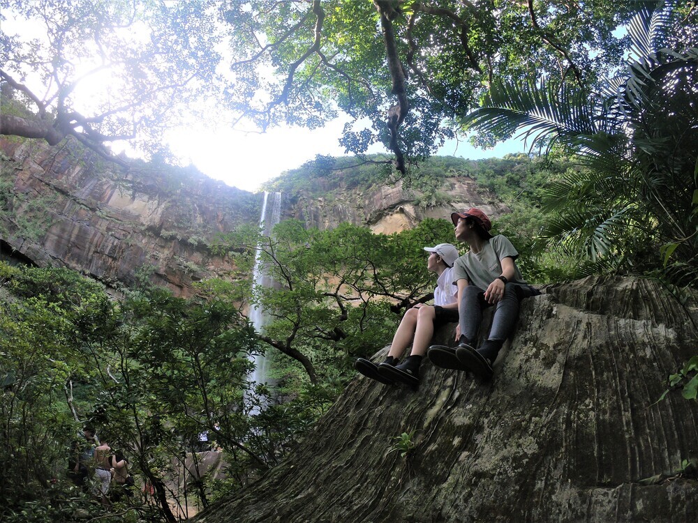 【西表島｜カヌー＆トレッキング｜1日コース】ピナイサーラの滝を滝上から滝つぼまでまるごと楽しむ1日ツアー！初心者歓迎！人気NO1コース！