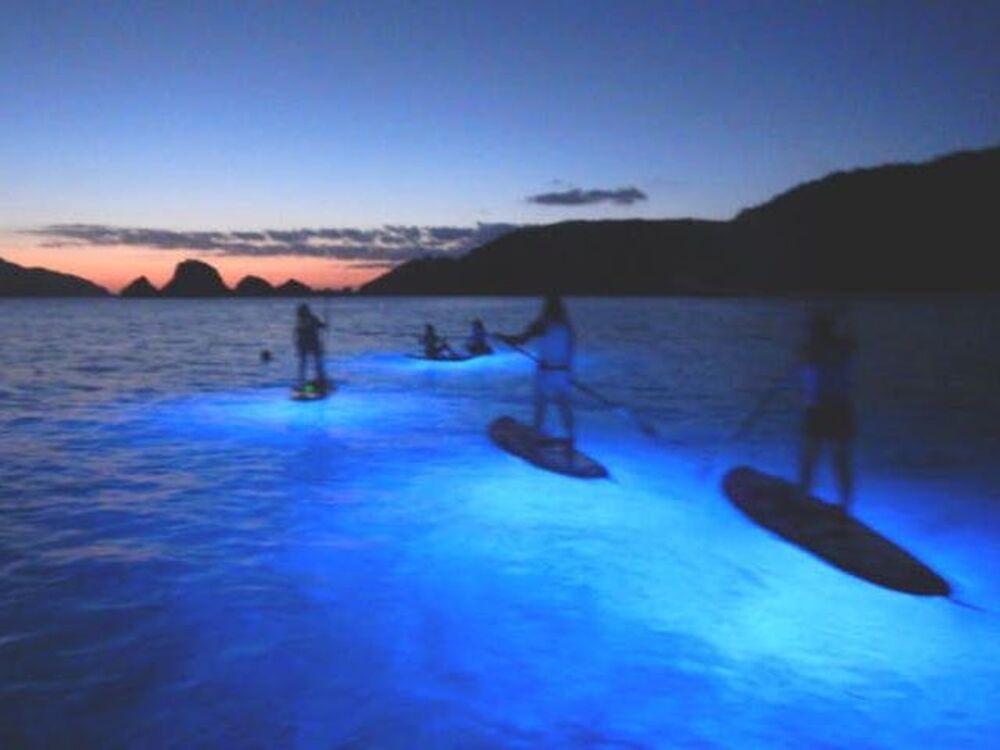 ナイトSUP｜1.5時間コース】慶良間諸島・座間味島で唯一のSUP専門店