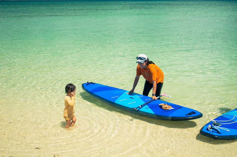 沖縄小浜島産サンスベリア最長120センチ前後 沖縄小浜島産サンスベリア最長120センチ前後 沖縄小浜島産サンスベリア