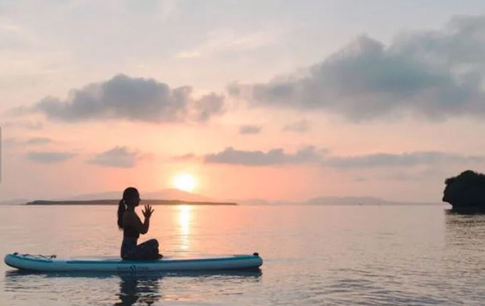 沖縄小浜島産サンスベリア最長120センチ前後 沖縄小浜島産サンスベリア最長120センチ前後 沖縄小浜島産サンスベリア