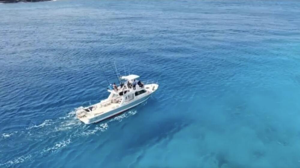 座間味島｜ホエールウォッチング＆SUP体験｜約5時間】冬季限定ツアー