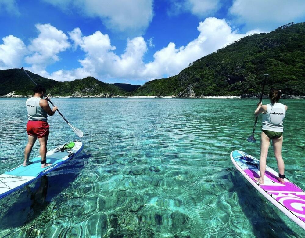 座間味島｜ホエールウォッチング＆SUP｜約4時間】冬季限定！世界が