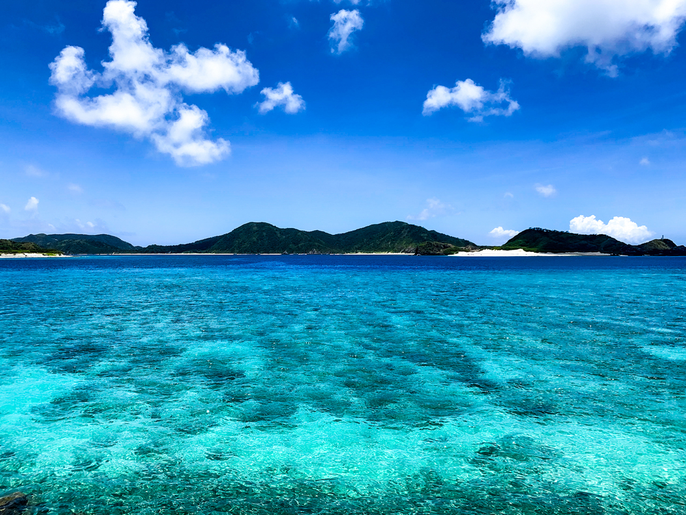 座間味島｜島内ガイドツアー｜約2時間コース】しまたび限定プラン｜車