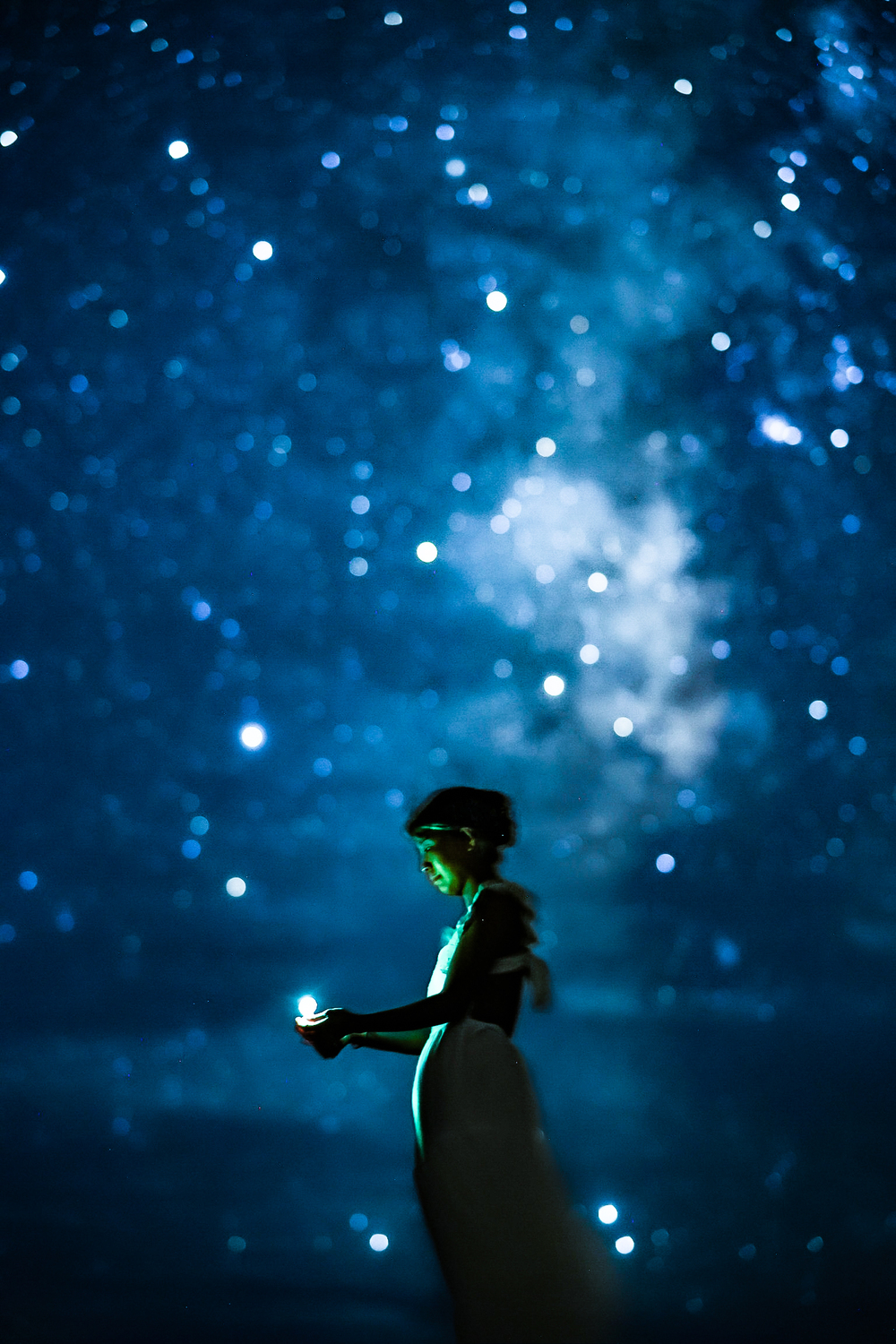 風景 天体撮影記 第210夜】 高知県 厳島新水公園から冬の星座と二つの大