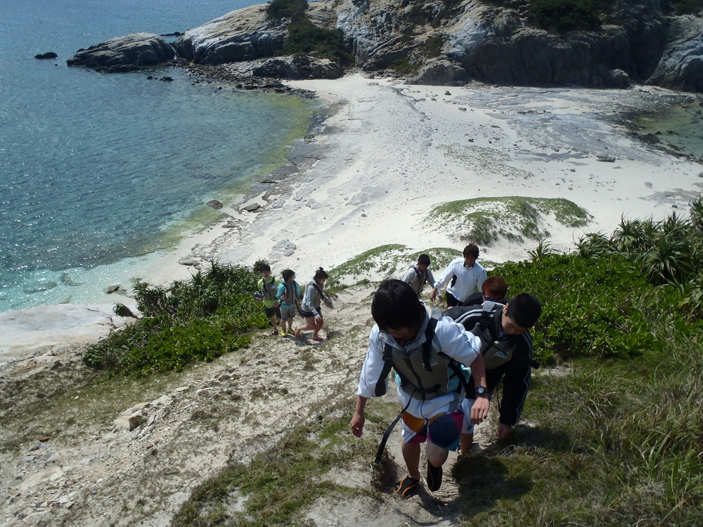 ショートカヤックツアー｜約2時間コース】フェリー往復でも参加可能