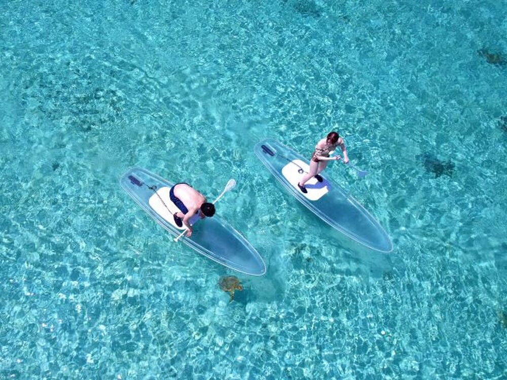 宮古島｜SUP｜1.5時間】遭遇率99.9%ウミガメクリアサップ ツアー！ドローン撮影無料！絶景フォトをプレゼント♪未就学児のお子様は無料！｜沖縄の離島観光専門サイト「しまたび」