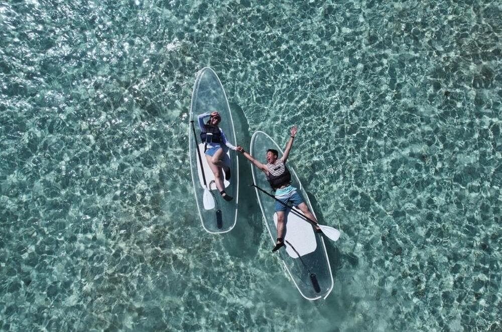 宮古島｜SUP｜1.5時間】遭遇率99.9%ウミガメクリアサップツアー