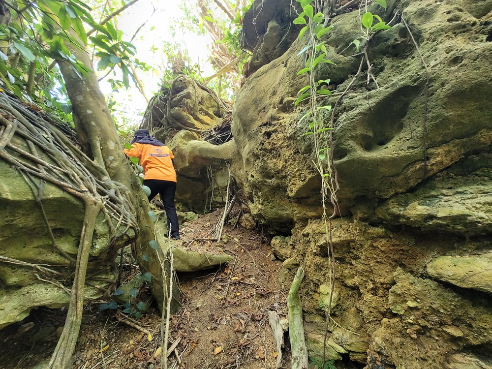 太古の昔、島が岩礁だった証(波食ノッチ)もあります。