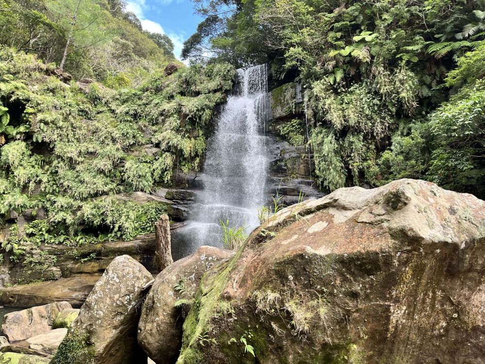 西表島の美しい滝