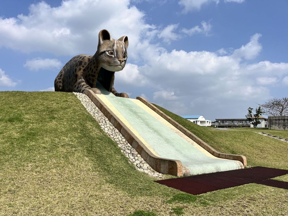 西表島｜軽自動車レンタカー・免責補償込｜2日プラン／通常期】「大原