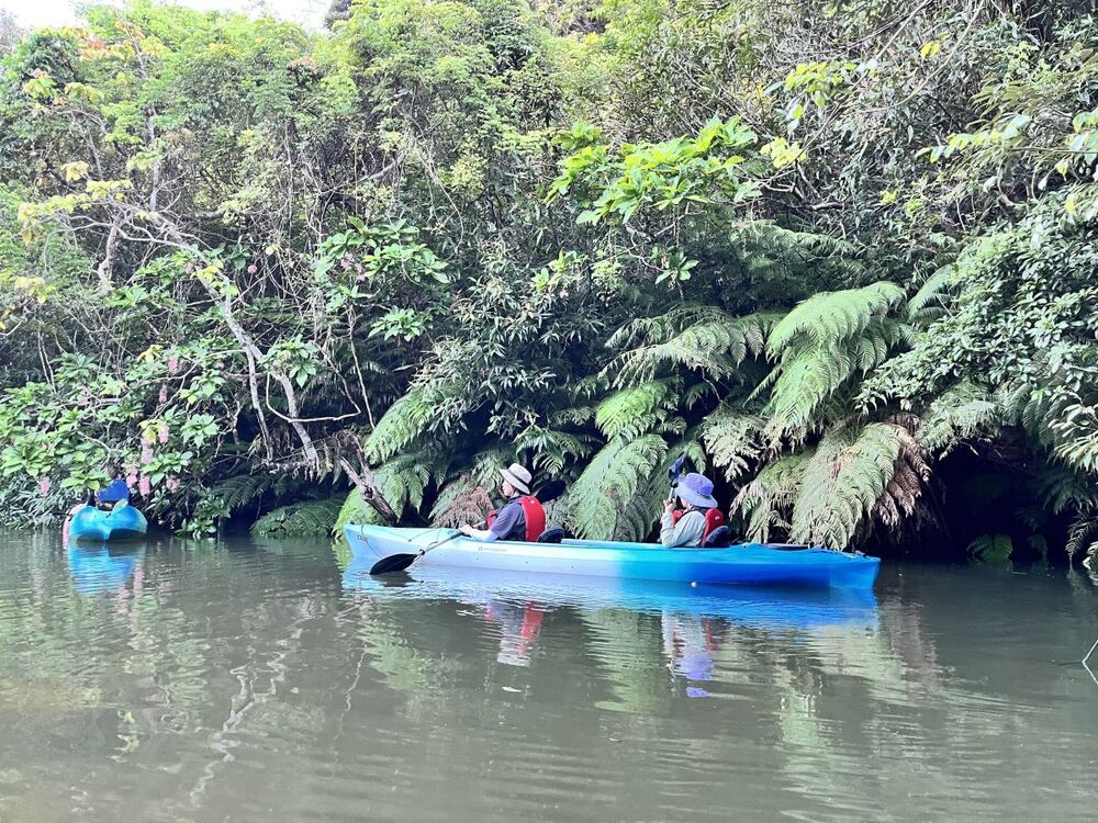 西表島｜小型レンタカー・免責補償込｜4日プラン／繁忙期】「大原港