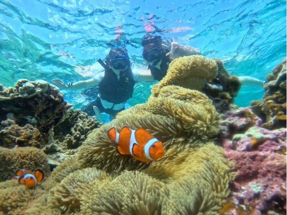 亜熱帯の海に生息する生き物を探しに行きましょう！