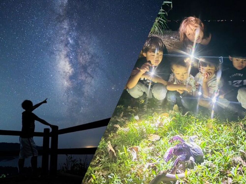 亜熱帯の夜を満喫しよう!