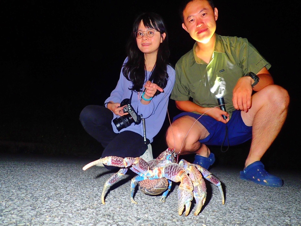 どんな生き物に出会えるかは運次第！