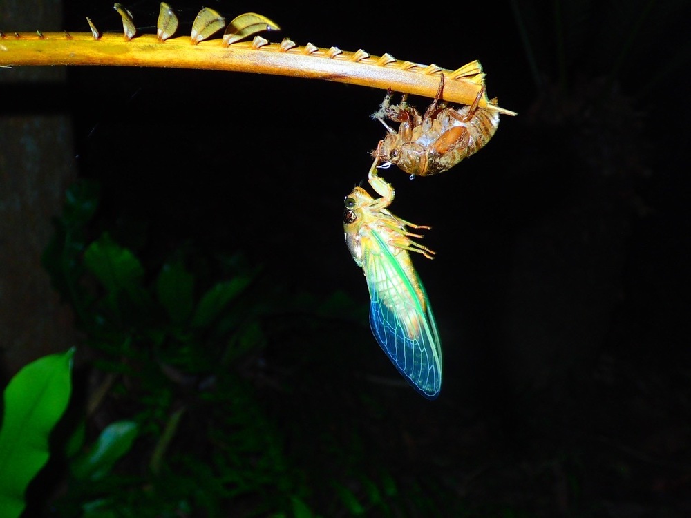 生き物が好きな人にはとってもおすすめのツアーです！