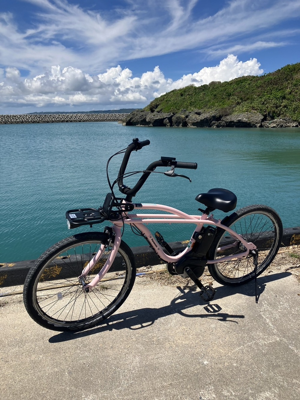 電動自転車｜1時間コース】今話題の電動アシスト自転車レンタルプラン