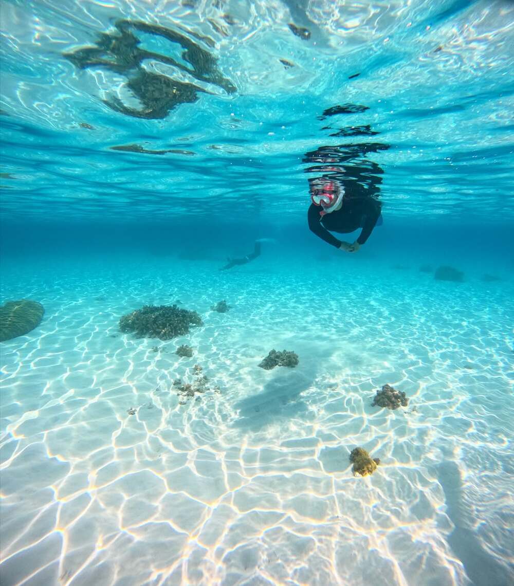 【ボートシュノーケリング｜約2時間】座間味島の絶景1ポイント巡りツアー！地元船長＆ガイドがご案内★専用グラスボートで快適なひと時を♪（設定期間：12/1～3/19）