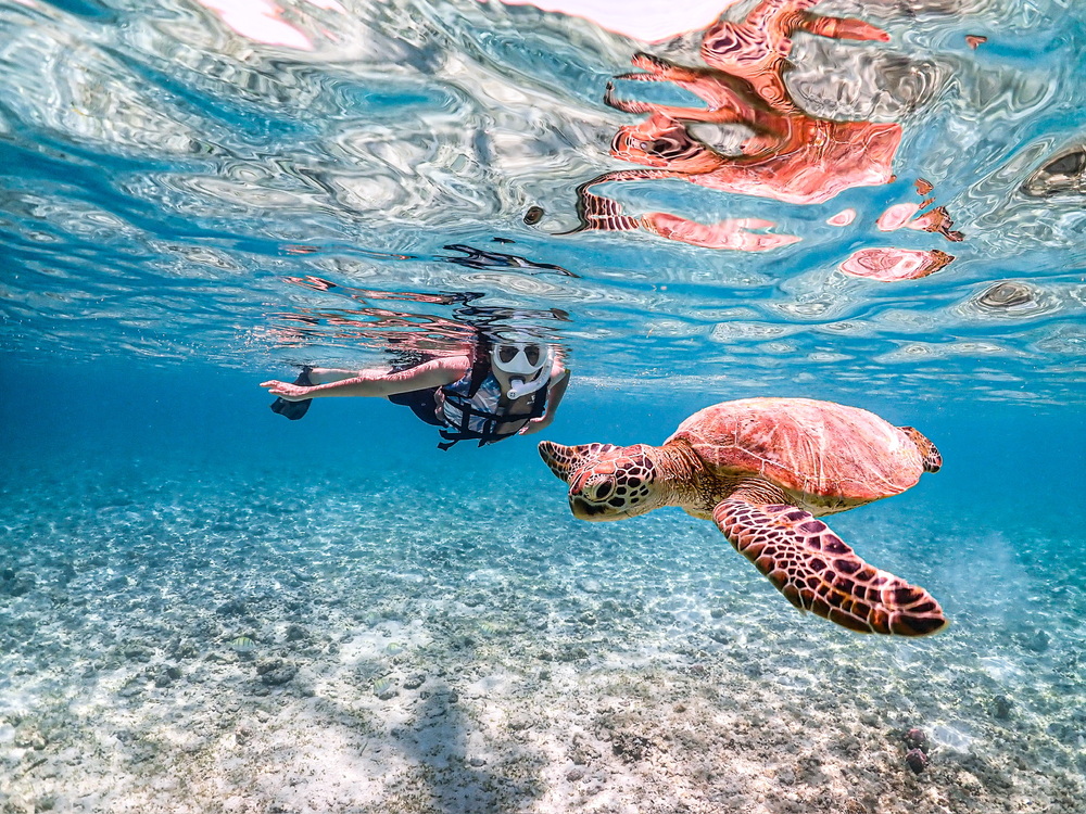 宮古諸島 シュノーケリング - 沖縄の離島観光専門サイト「しまたび」