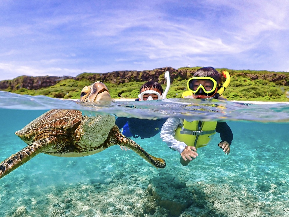 ウミガメと記念撮影しよう!!