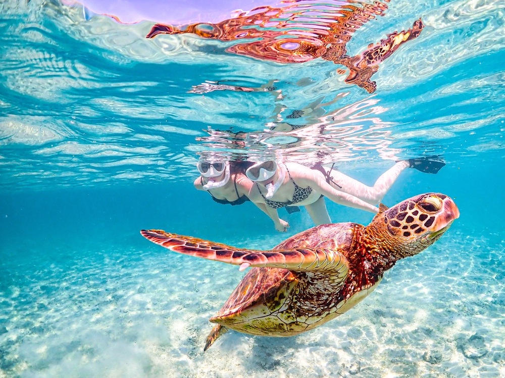 撮影データ無料プレゼント！