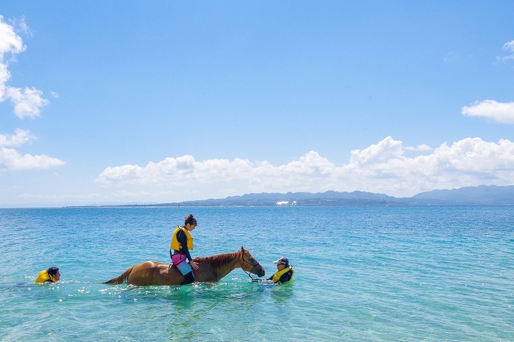 【海うま遊び 体験｜40分コース（所要時間約2時間）】夏限定！！伊江島で馬と泳ごう！※２～３名様利用