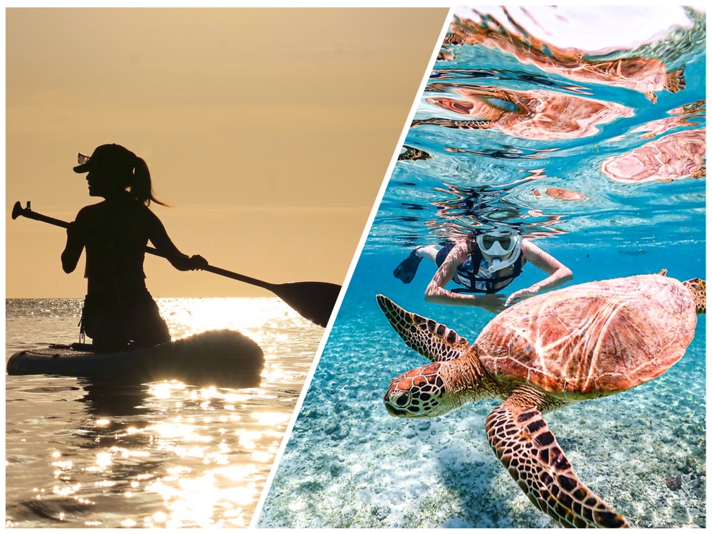 シュノーケリングとサンセットサップを楽しもう！