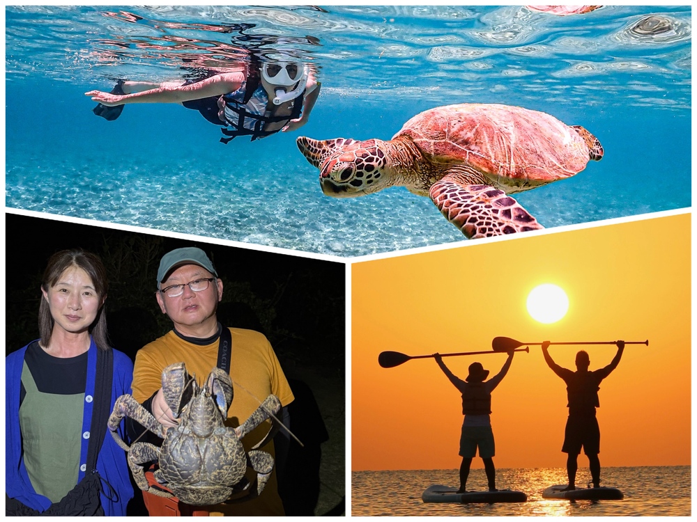 シュノーケル/サンセットSUP/ナイトツアーで1日大満足！