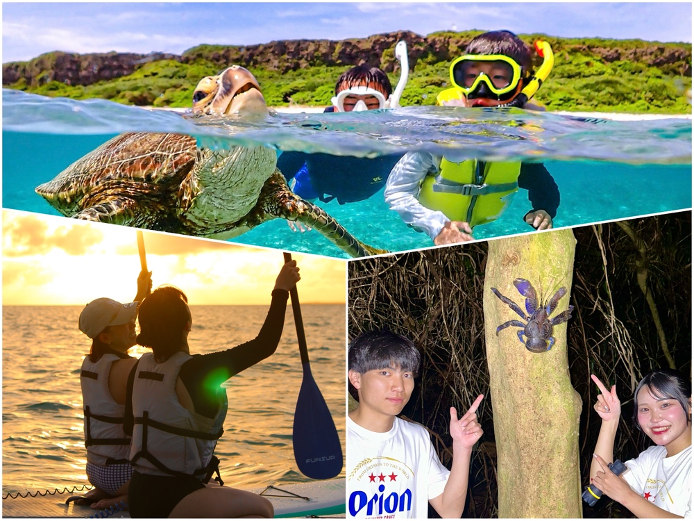 シュノーケル/サンセットSUP/ナイトツアーで1日大満足！