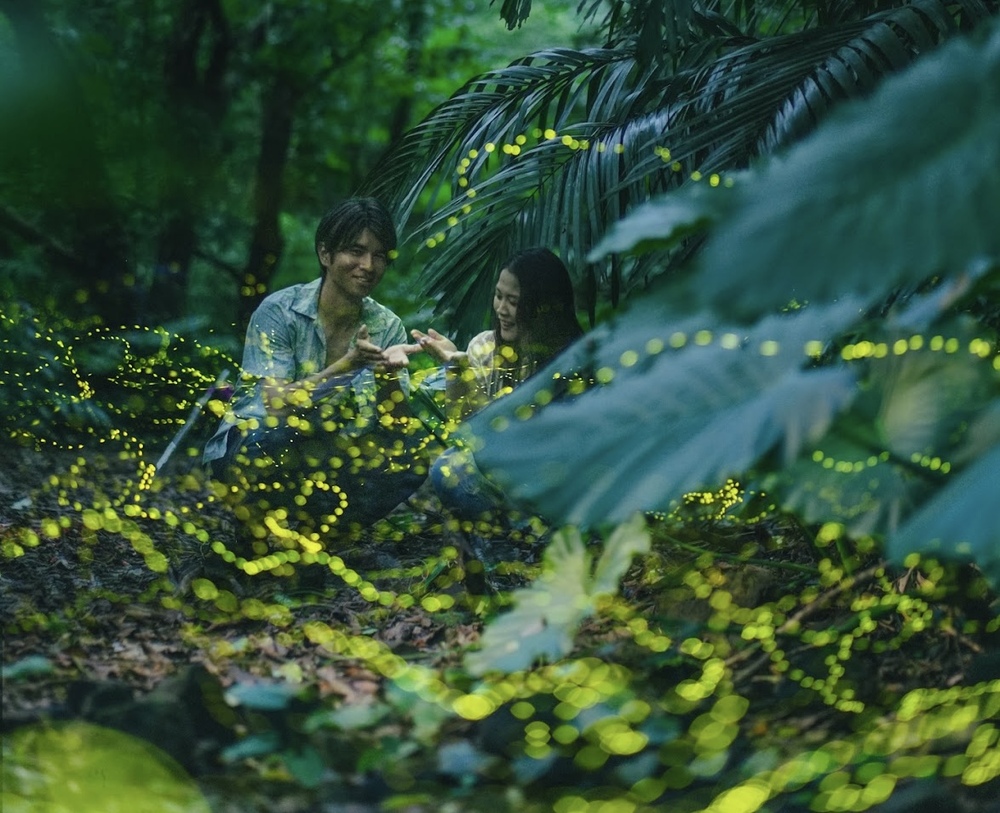 【西表島｜ナイトツアー｜春限定｜2時間】 ヤエヤマヒメボタル観察＆林道ハイキング＆日本初の星空保護区での星空観察も！手ぶら・幼児参加OK！〈送迎付き〉