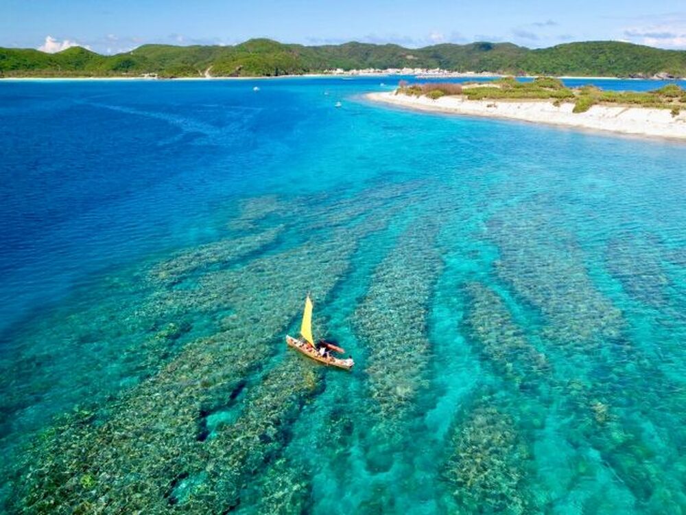 座間味島｜伝統木造帆船サバニ体験・無人島上陸ツアー｜2時間】座間味