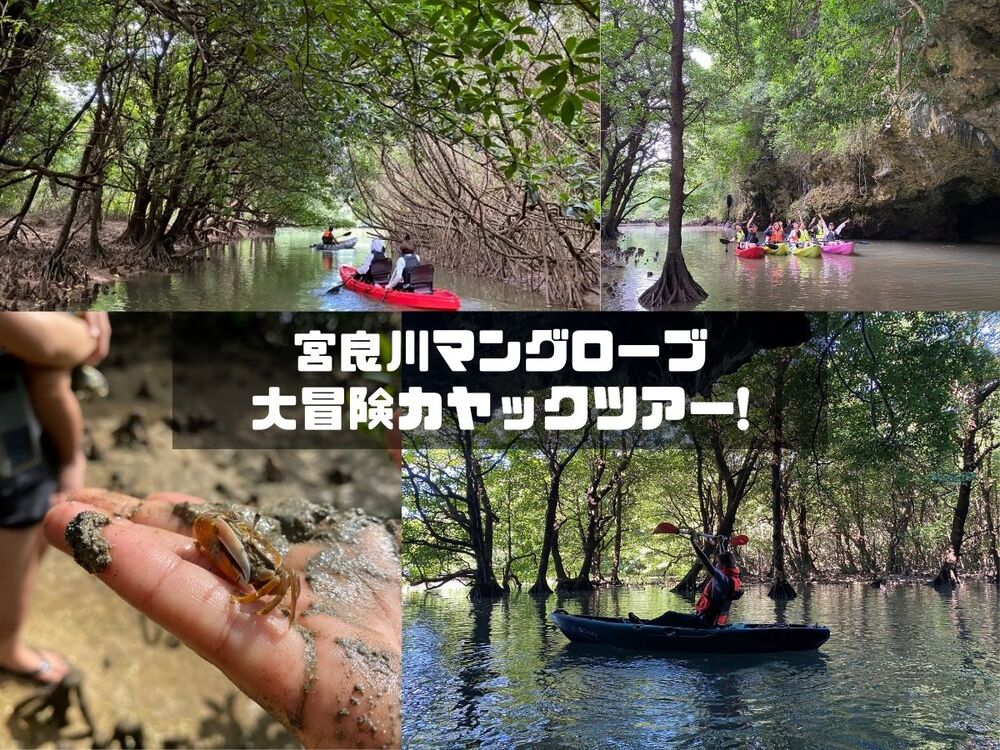 八重山諸島の森の体験を予約｜沖縄離島専門サイト【しまたび】
