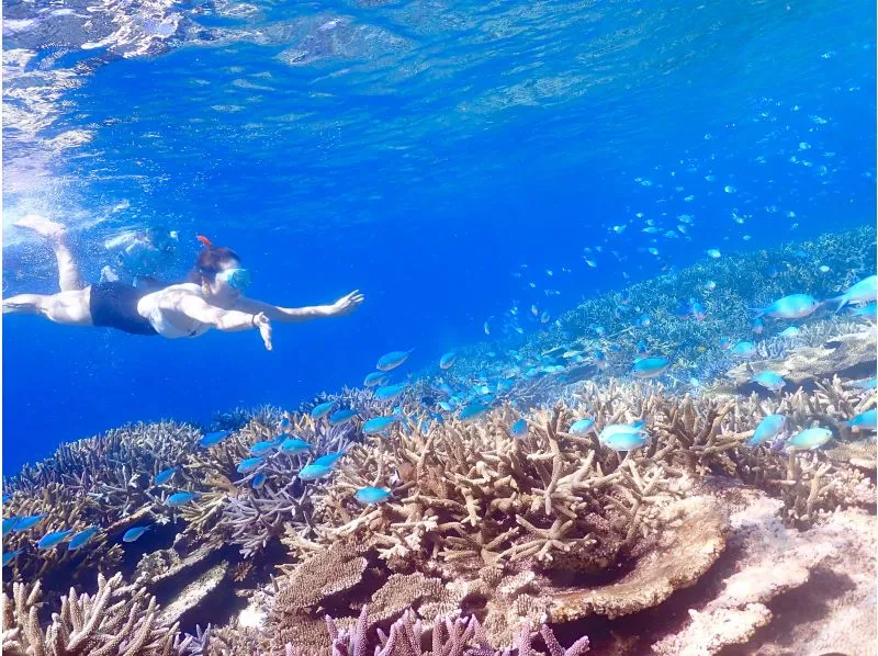 vingt quatreスタッフ一同