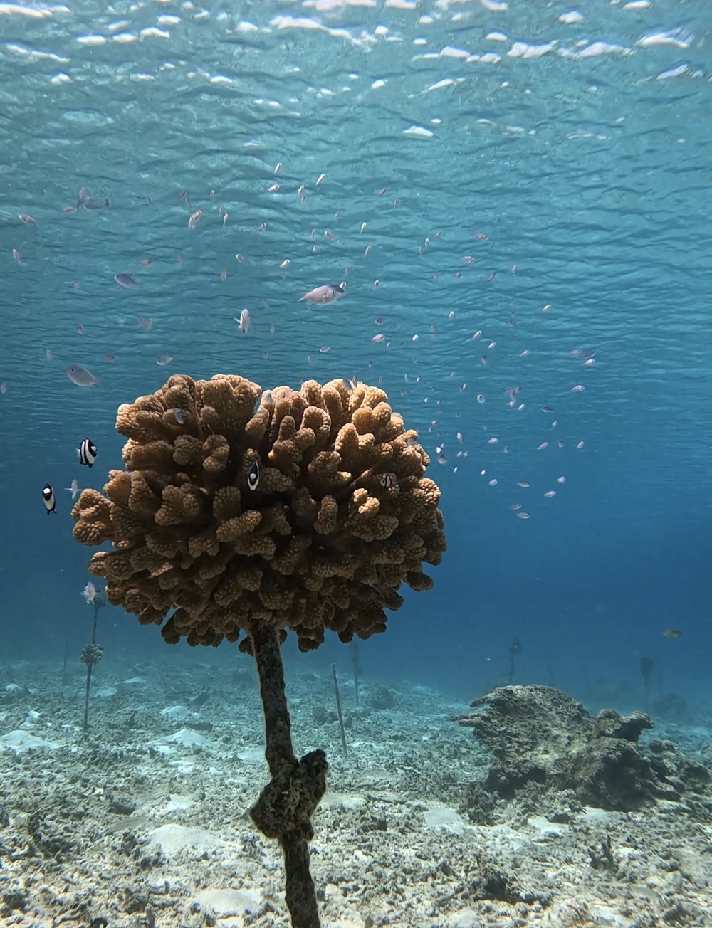 素敵なお写真プレゼント♪