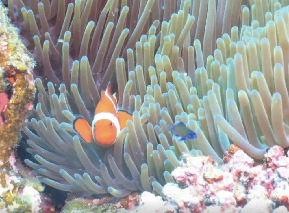 素敵なお写真プレゼント♪