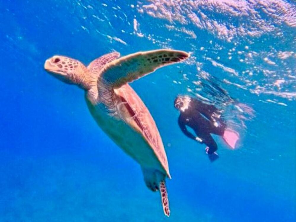 写真データ無料プレゼント！ツアー中はガイドが皆様の写真をお撮りします！