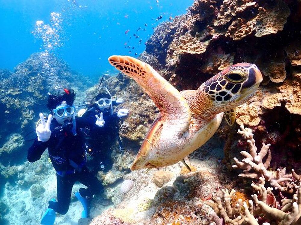石垣島のおすすめ教えます♪