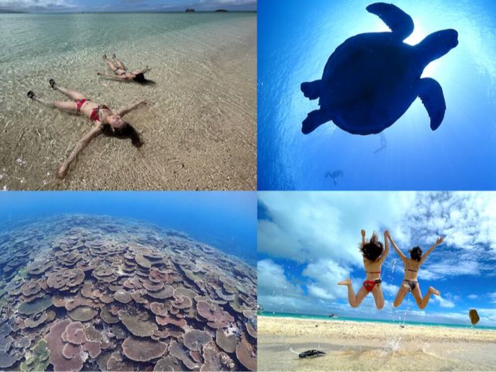 石垣島のおすすめ教えます♪