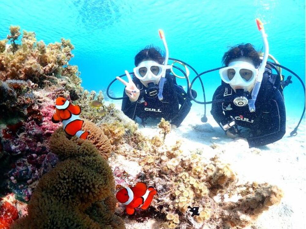 石垣島のおすすめ教えます♪