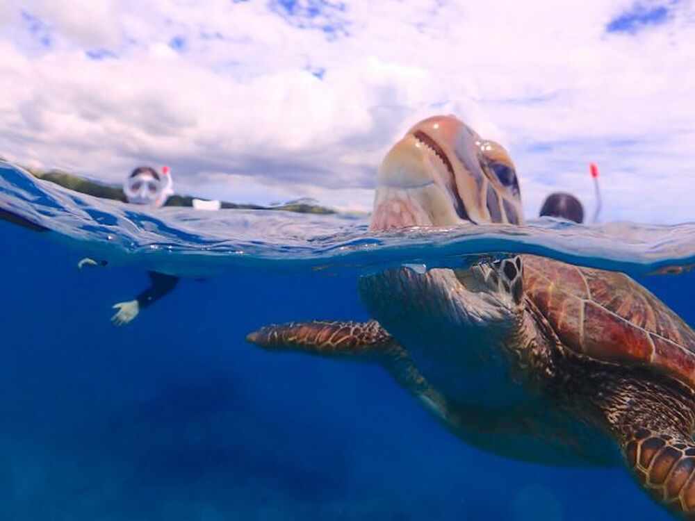 石垣島のおすすめ教えます♪