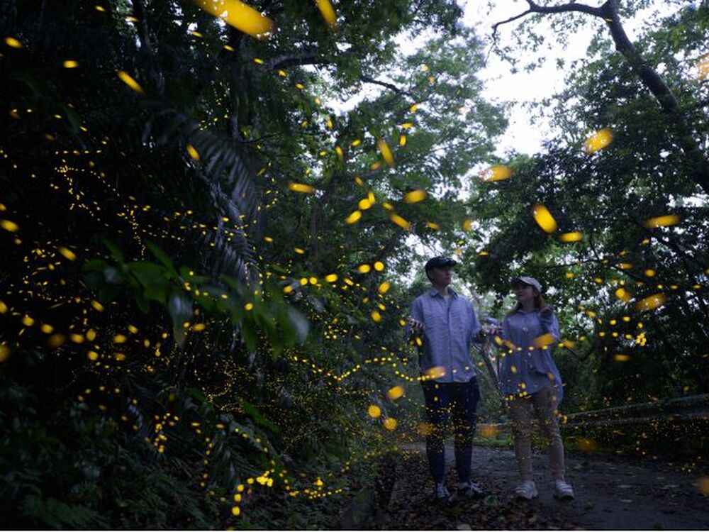 石垣島のおすすめ教えます♪