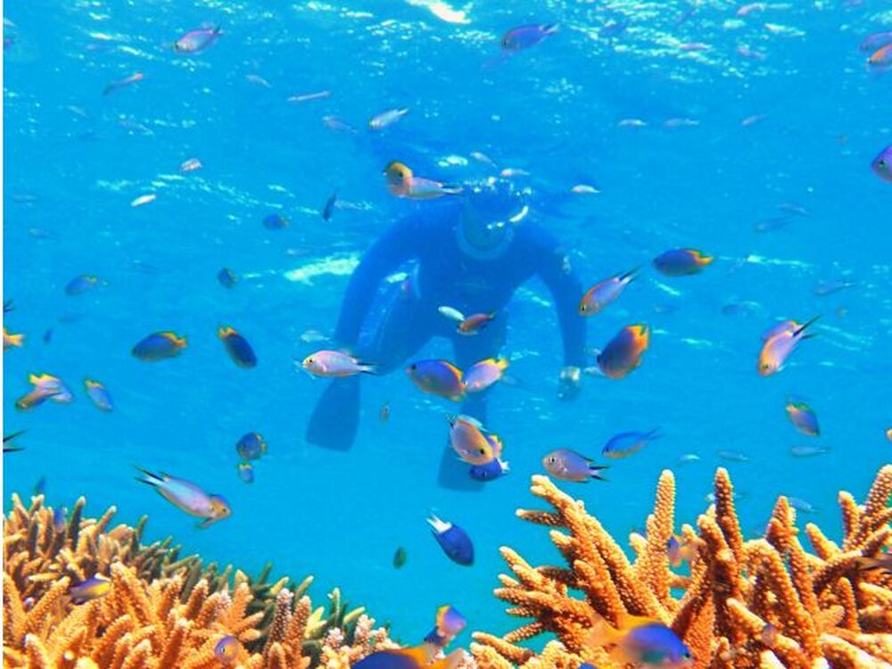 石垣島のおすすめ教えます♪