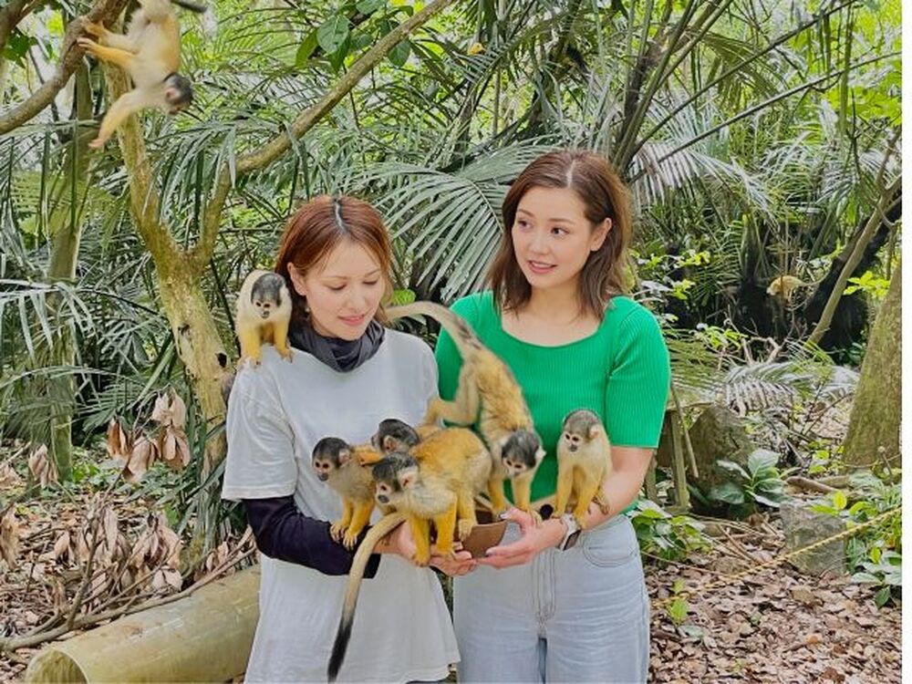 石垣島のおすすめ教えます♪