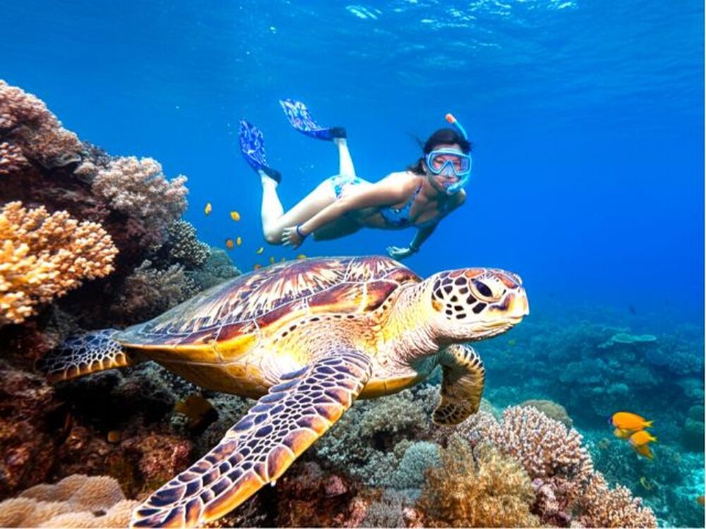 石垣島のおすすめ教えます♪