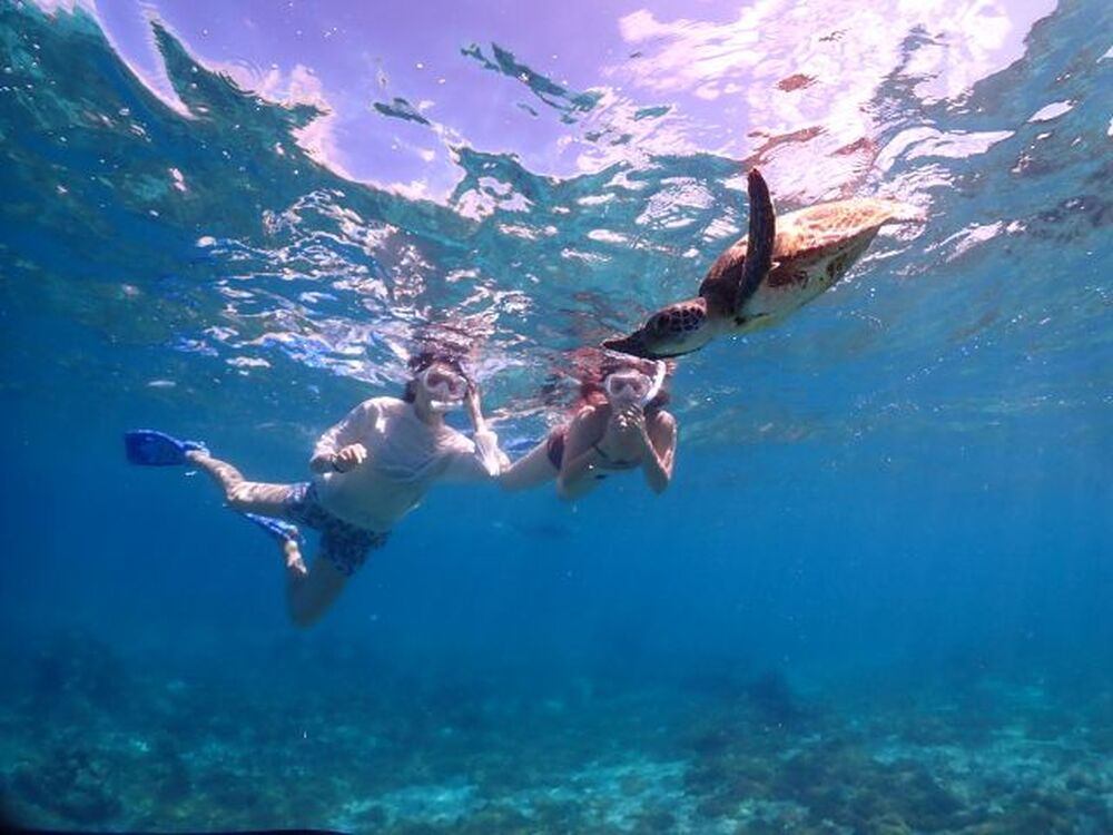 ツアー中はガイドがあなたの笑顔や感動の瞬間を逃さず撮影。 
撮った写真は、旅の後にデータでプレゼントいたします♪