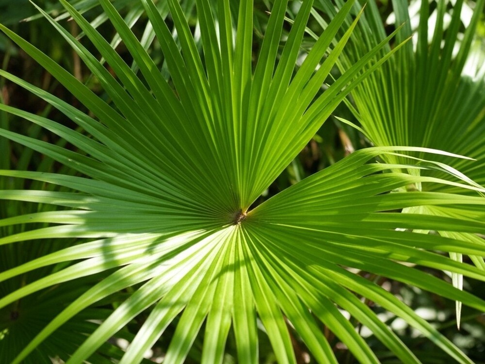 ガイドがツアー中のお写真を撮影!
ガイドがのお客様のお写真を撮影いたします!
一人旅でもグループ旅でも、しっかり旅の思い出を残せます!