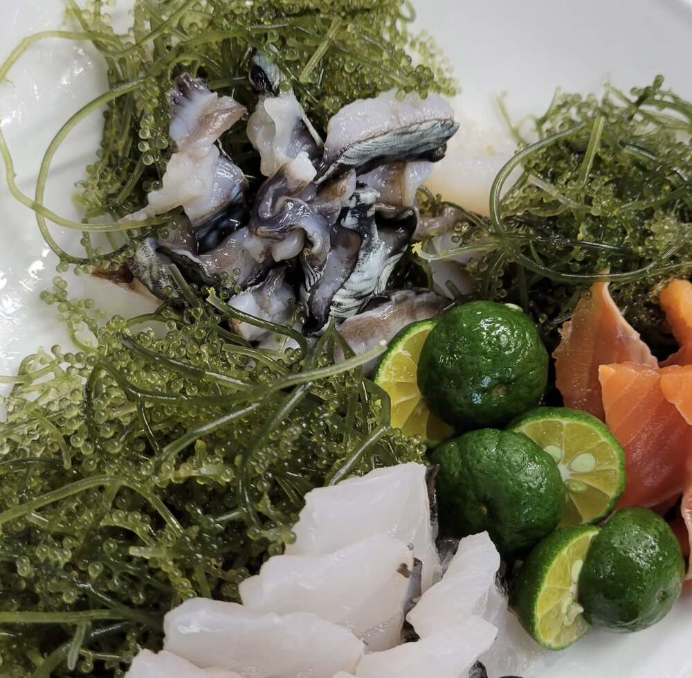 OPEN記念‼ 小浜島で丹精込めて作った海ぶどうをサービスでご用意♪