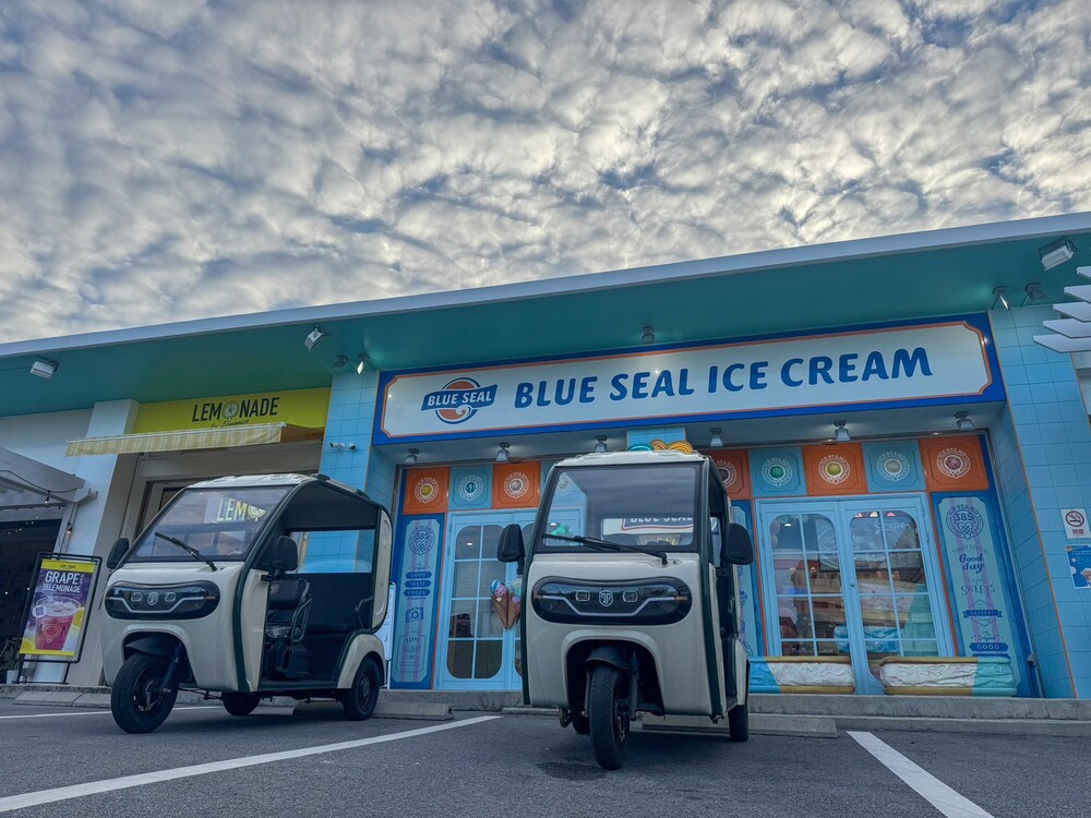 島内のおすすめスポット教えます♪