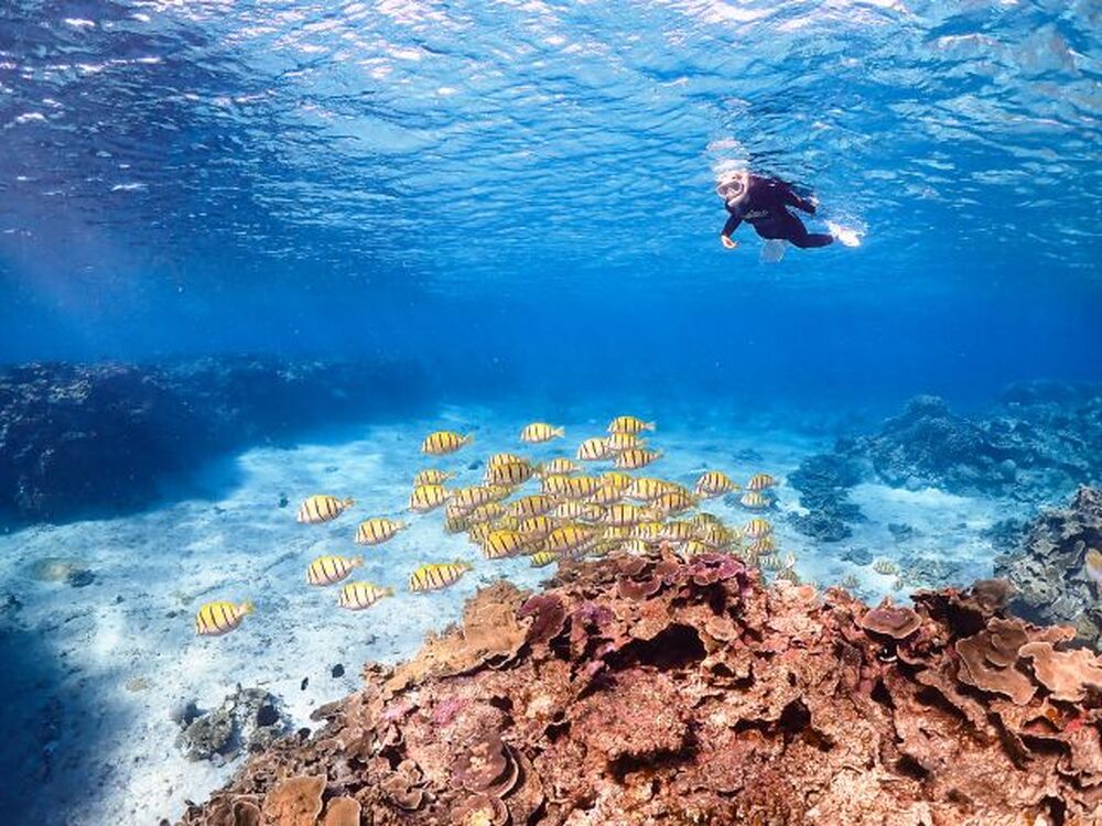 フォトコンテスト受賞歴あり！ツアー中のお写真をプレゼントいたします♪